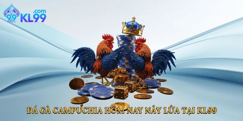 Đá gà Campuchia hôm nay nảy lửa tại KL99